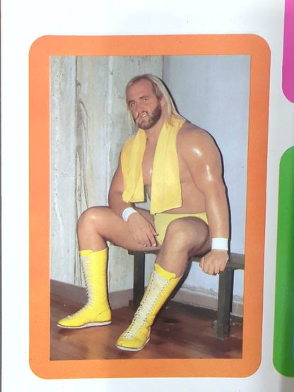 Hulk Hogan  Wrestler Cards(2)