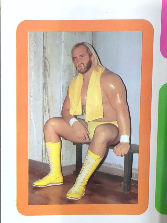 Hulk Hogan  Wrestler Cards(2)