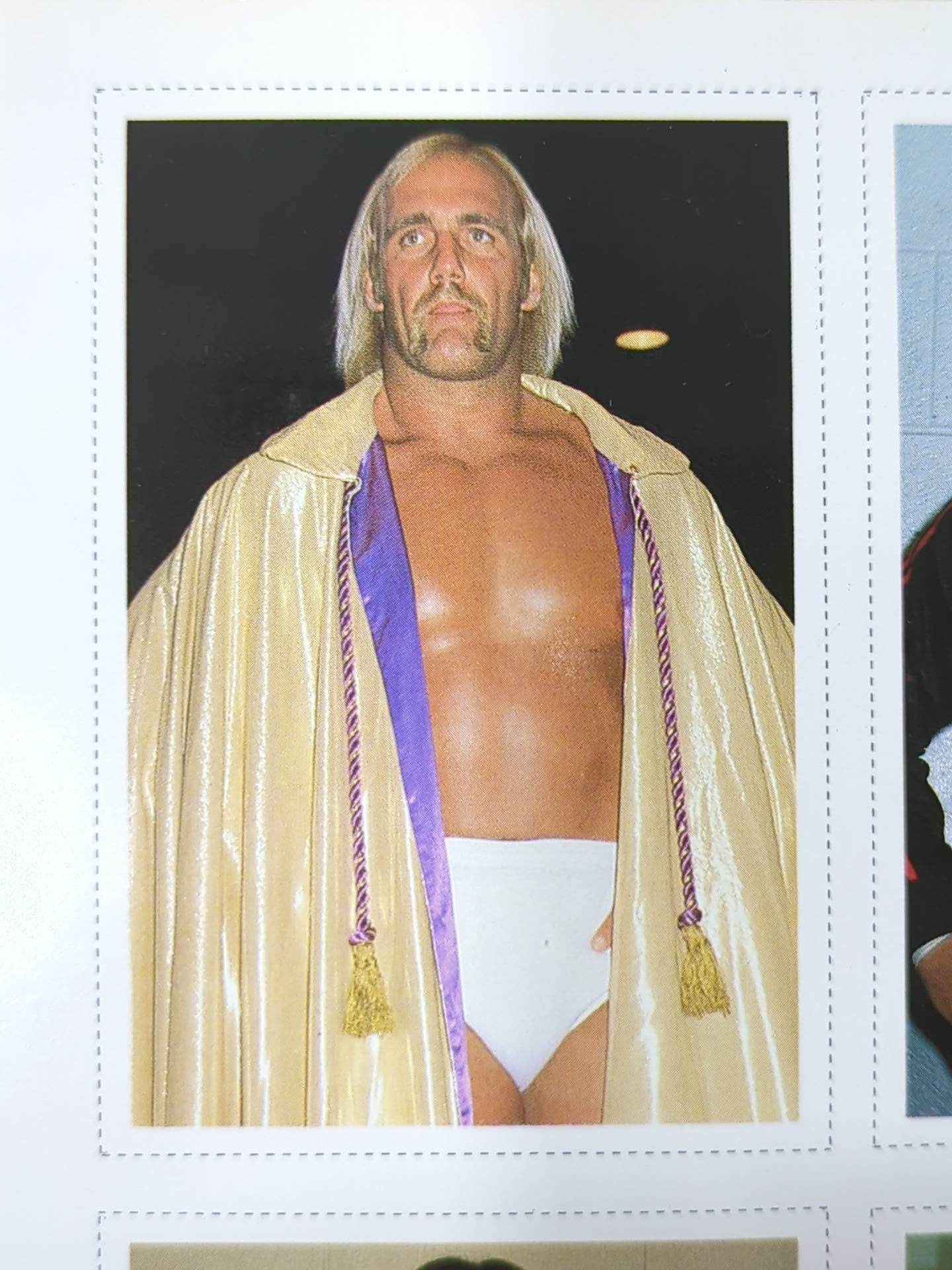 Hulk Hogan  Wrestler Cards(4)