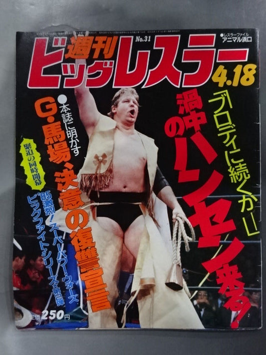 週刊ビッグレスラー31