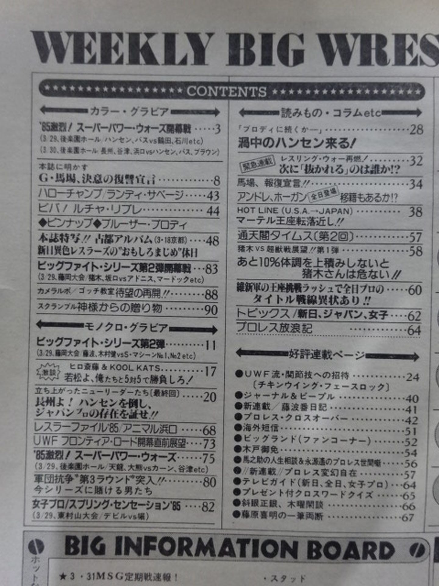 週刊ビッグレスラー31