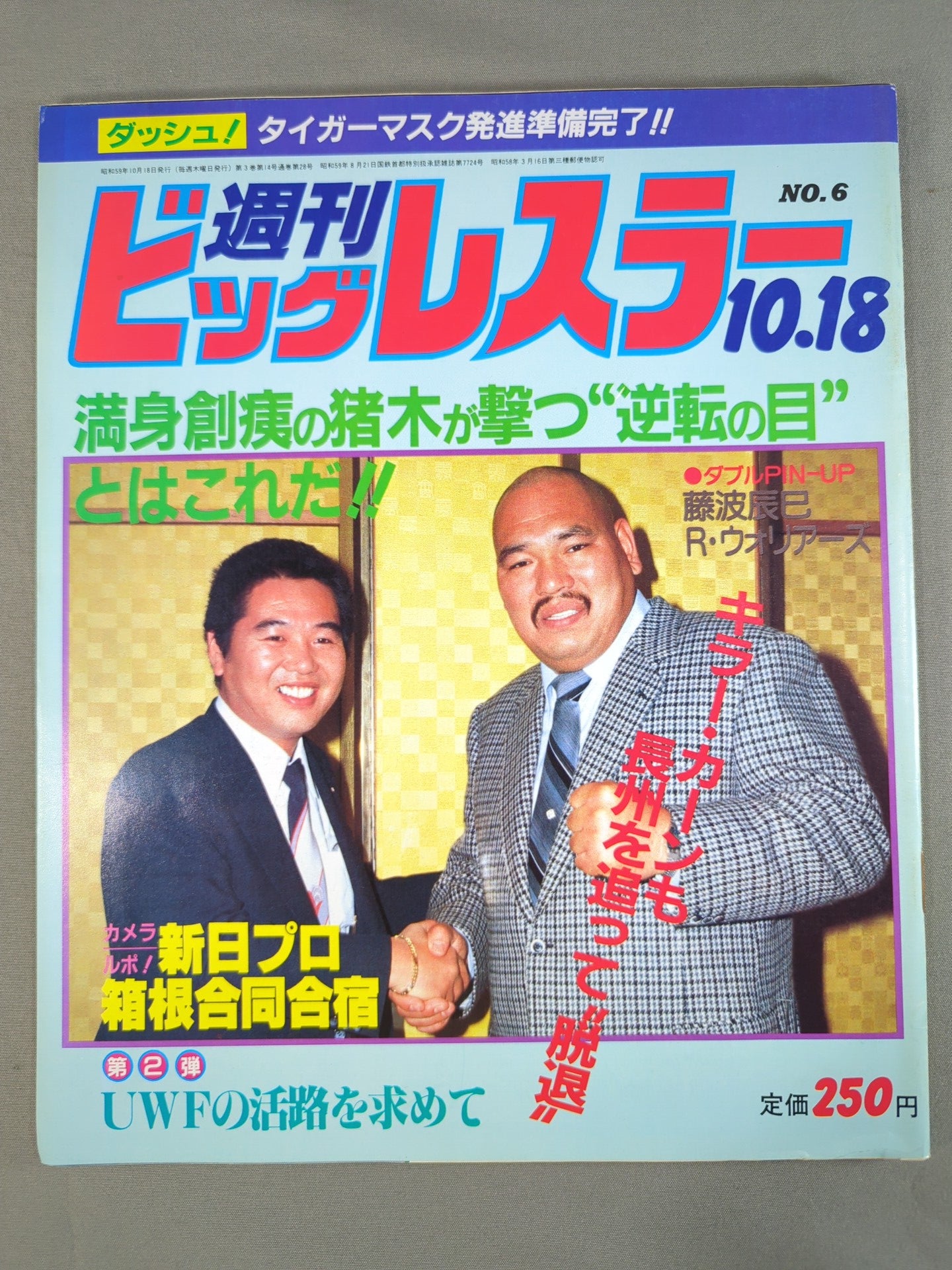 週刊ビッグレスラー6