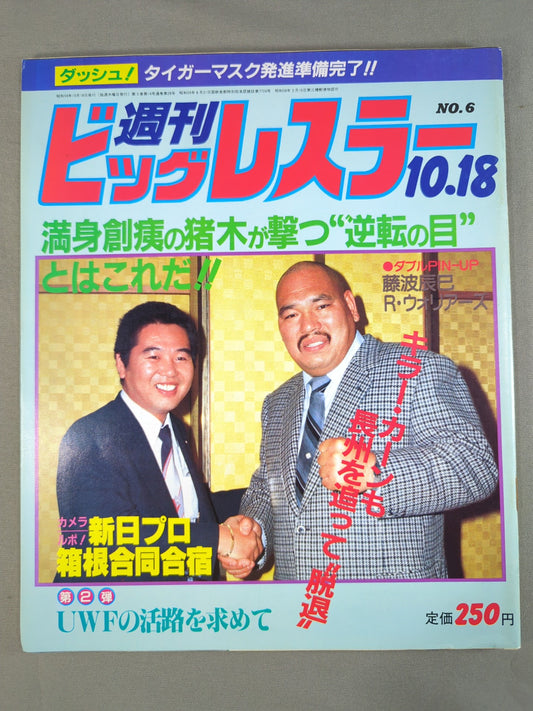 週刊ビッグレスラー6
