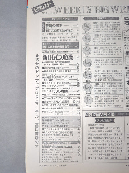週刊ビッグレスラー6