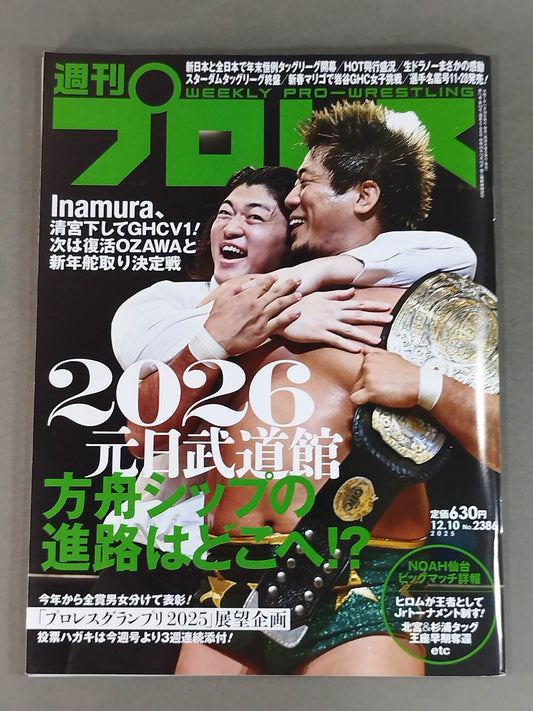 Weekly Pro Wrestling 2386