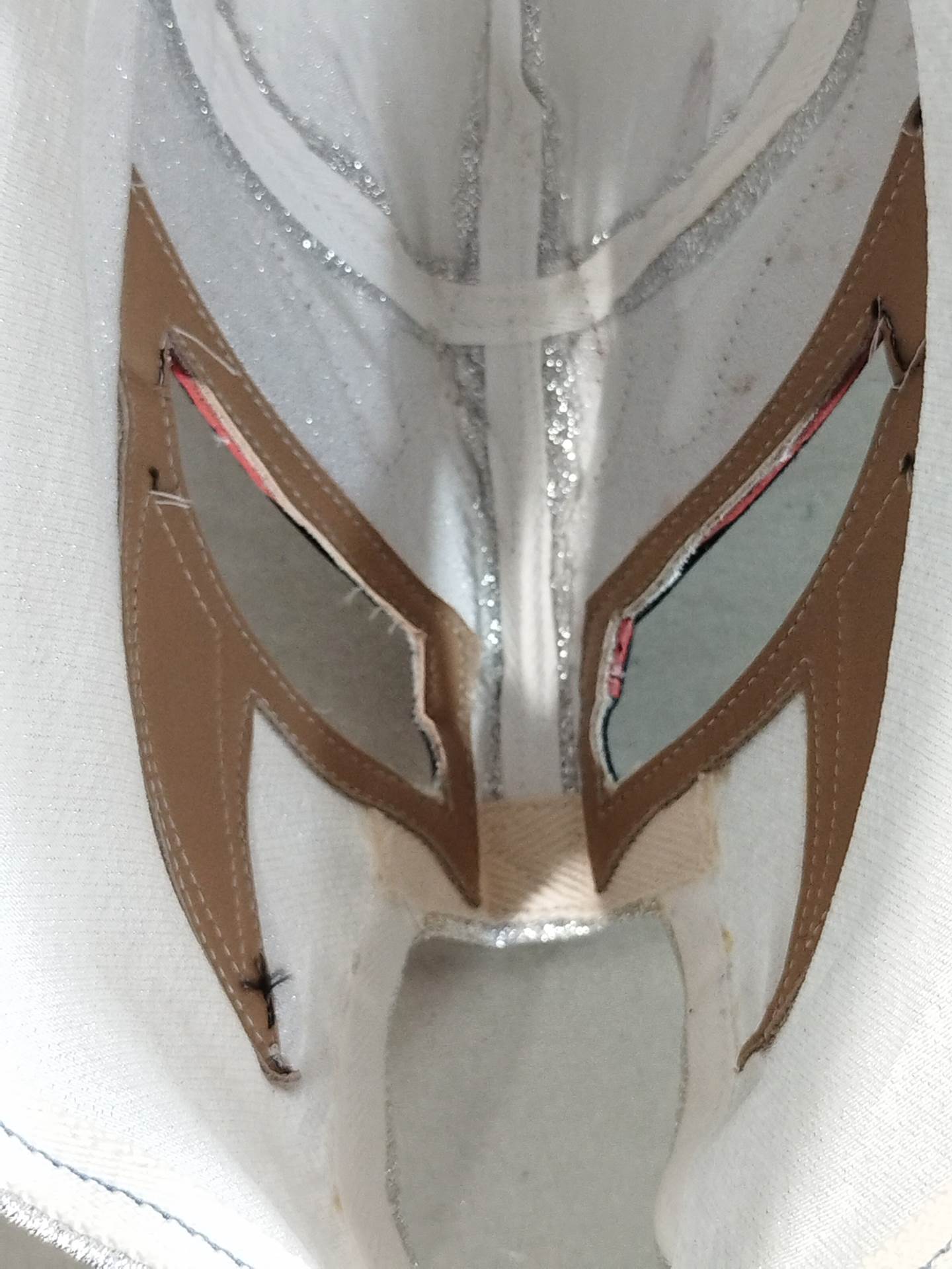 獣神サンダー・ライガー