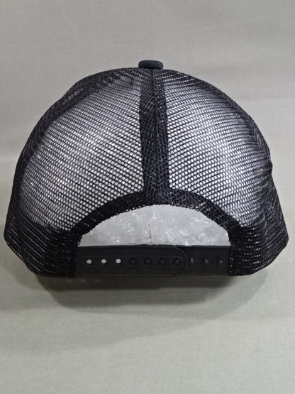 ライオンマーク メッシュキャップ①(2025/ブラック×フルカラー)