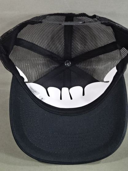 ライオンマーク メッシュキャップ①(2025/ブラック×フルカラー)