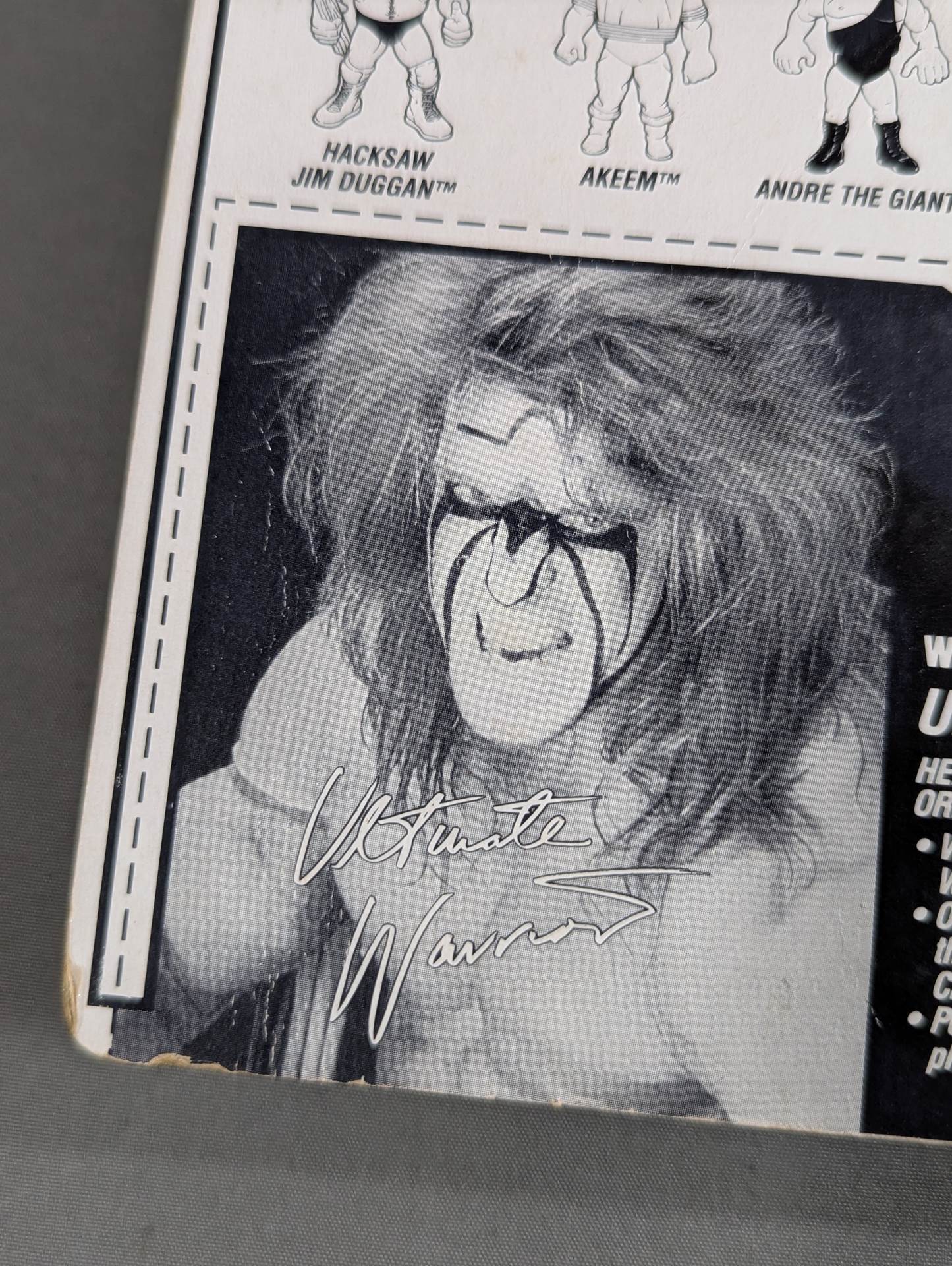 The Ultimate Warrior  (Series 2, 1990)