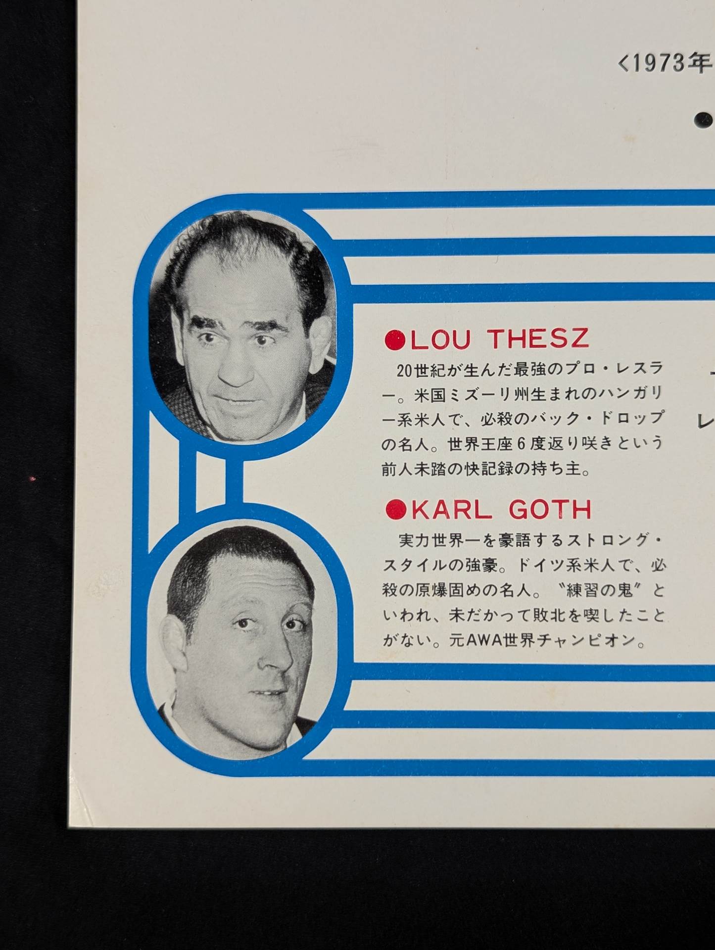 ★世紀の大決戦★ 世界最強タッグ戦