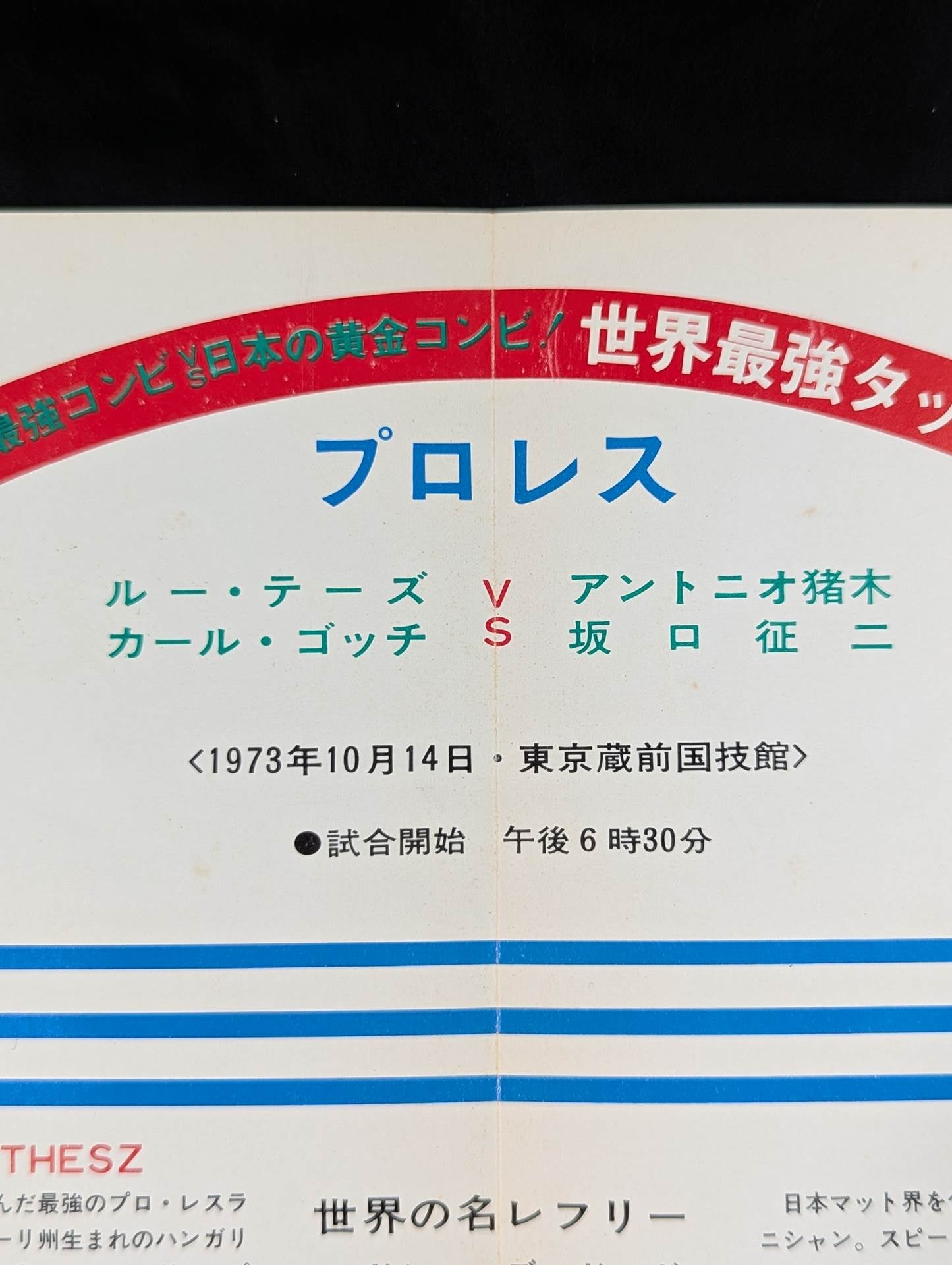 ★世紀の大決戦★ 世界最強タッグ戦
