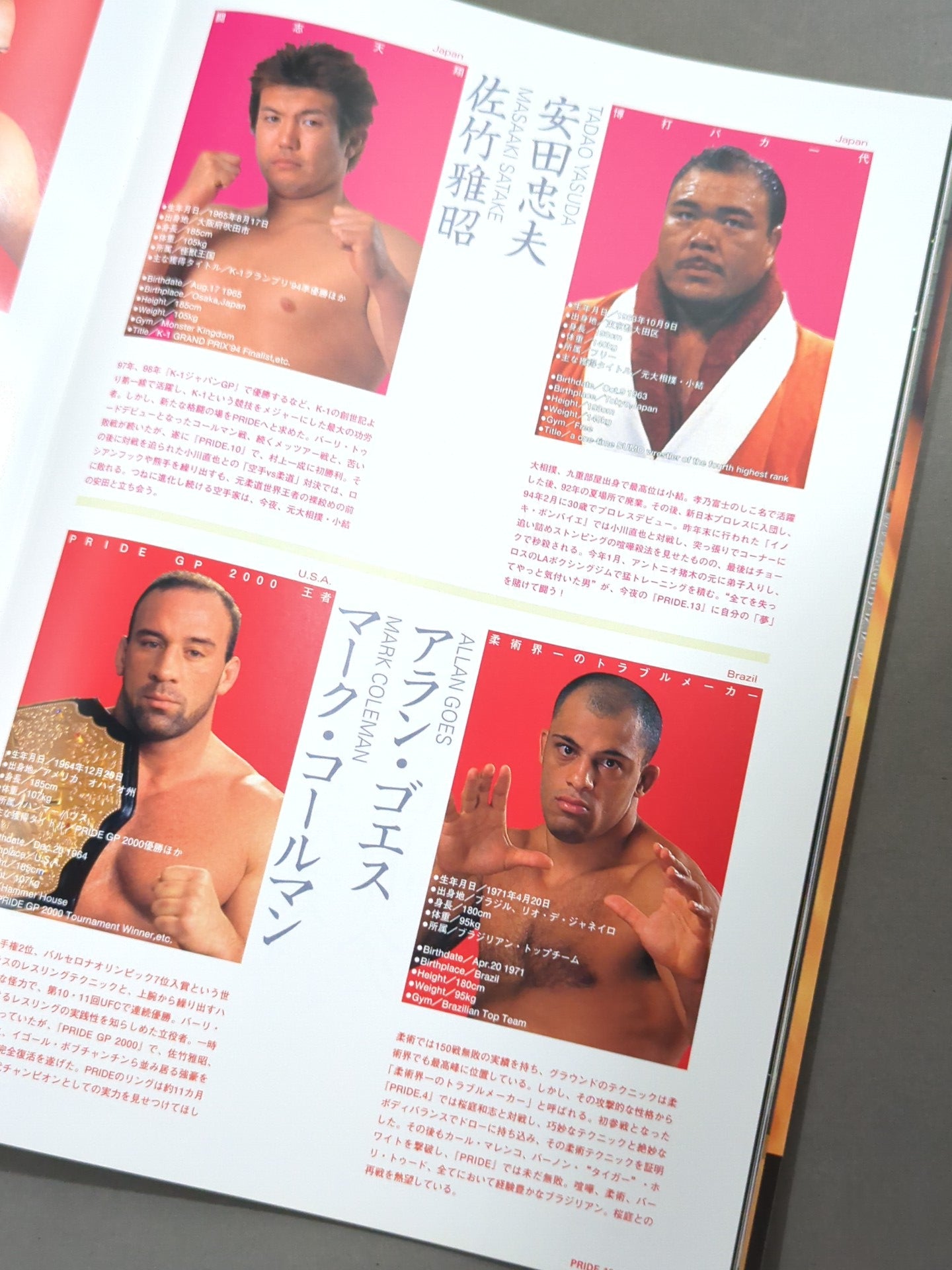 PRIDE.13 – 闘道館