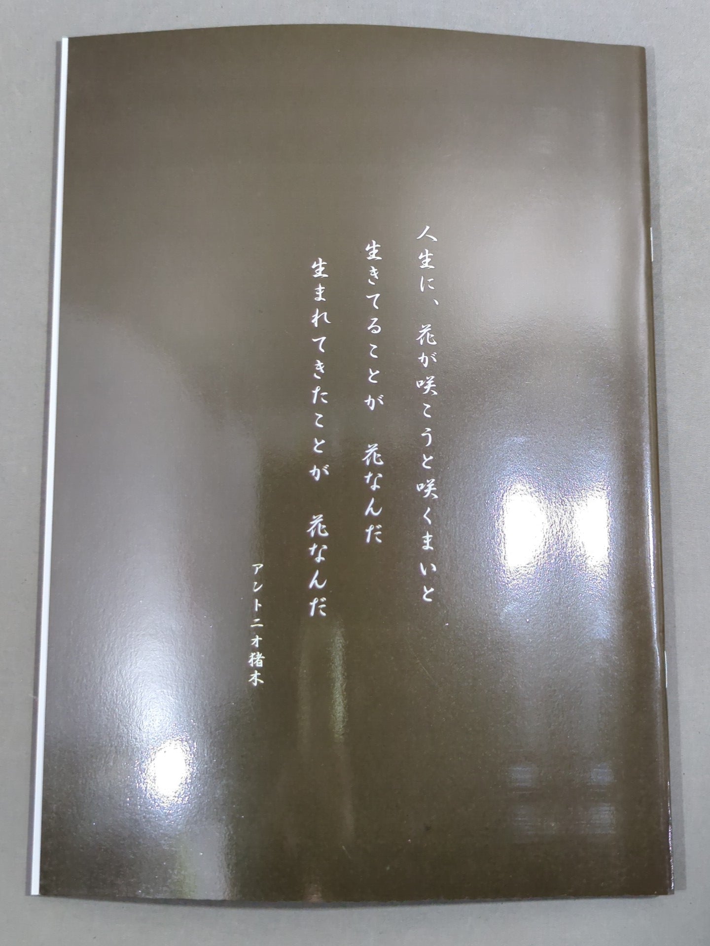 PRIDE.13 – 闘道館