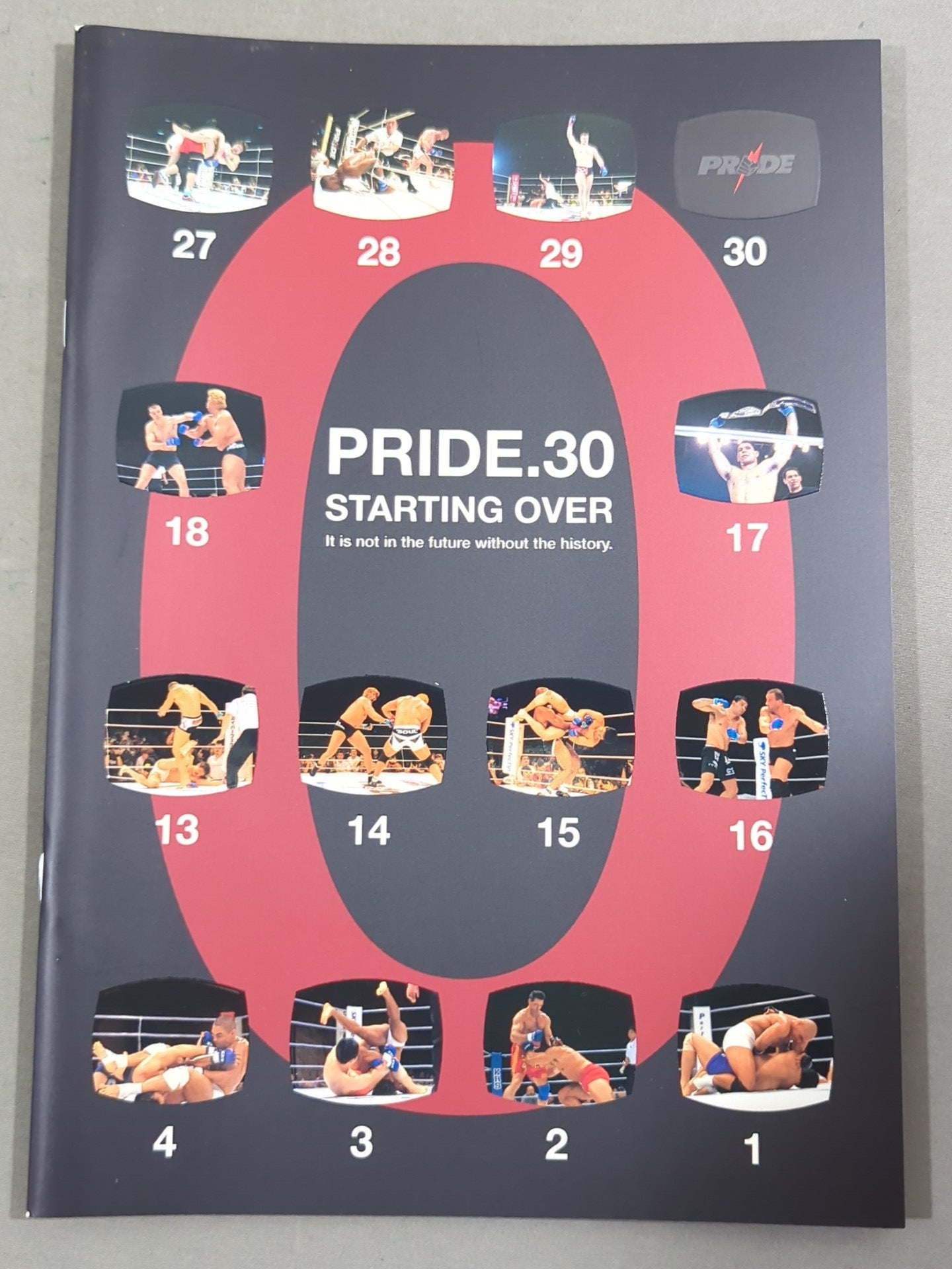 PRIDE.30