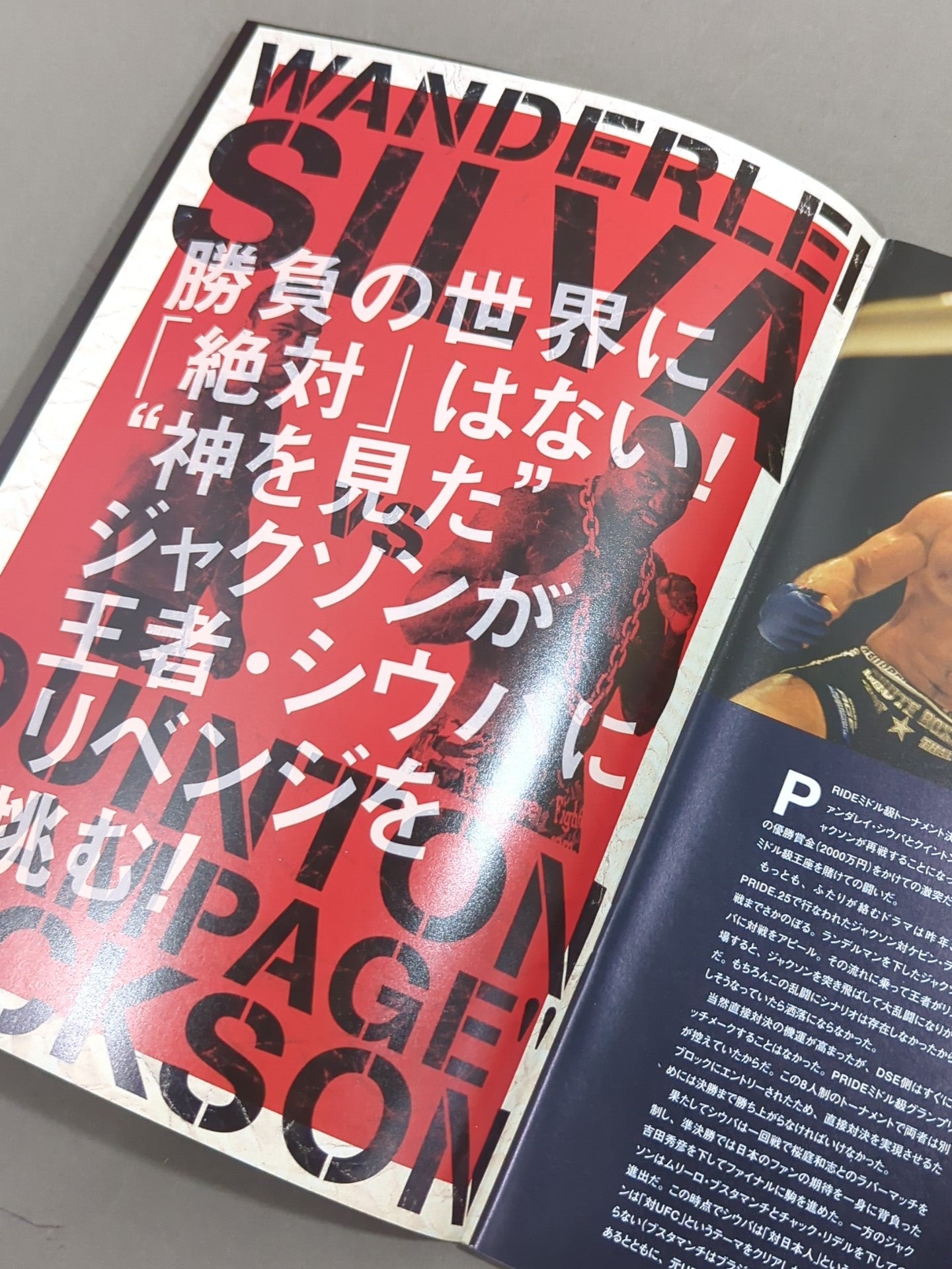 PRIDE.28 – 闘道館