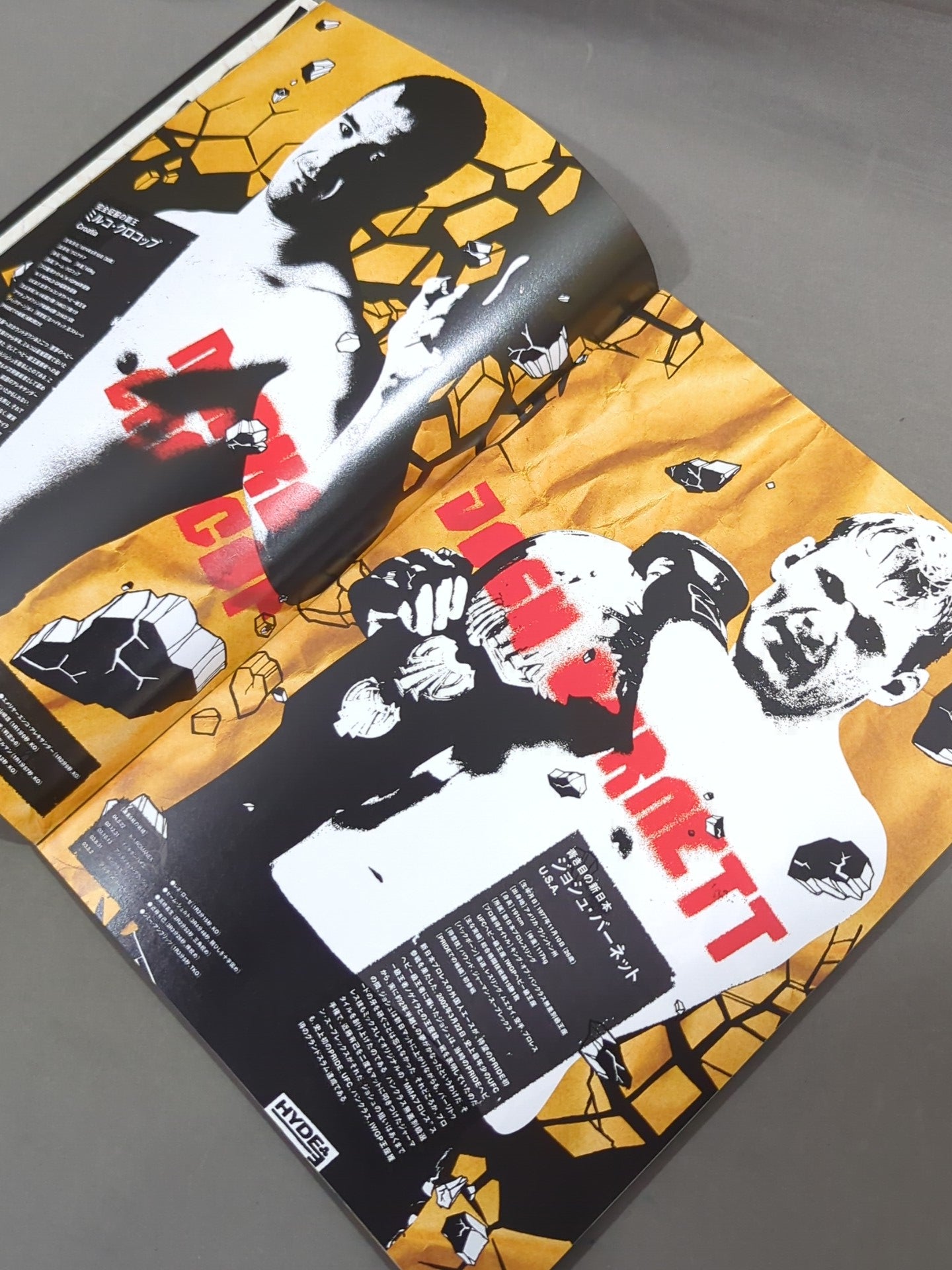 PRIDE.28 – 闘道館