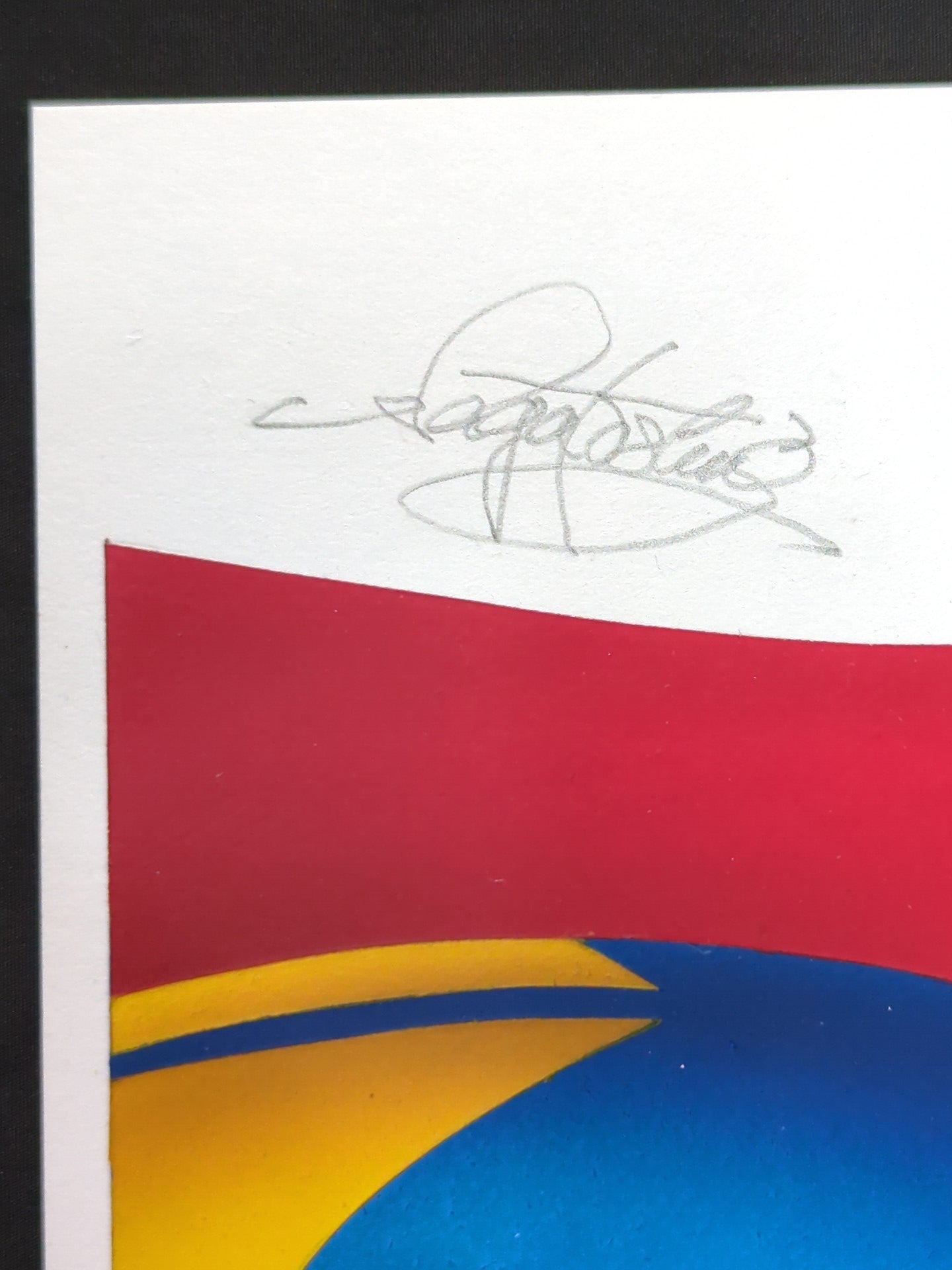 ★ Nagatoshi Sakai 's original painting work ★ "Four-dimensional killing method" The first tiger mask ( Gran Hamada  battle type)