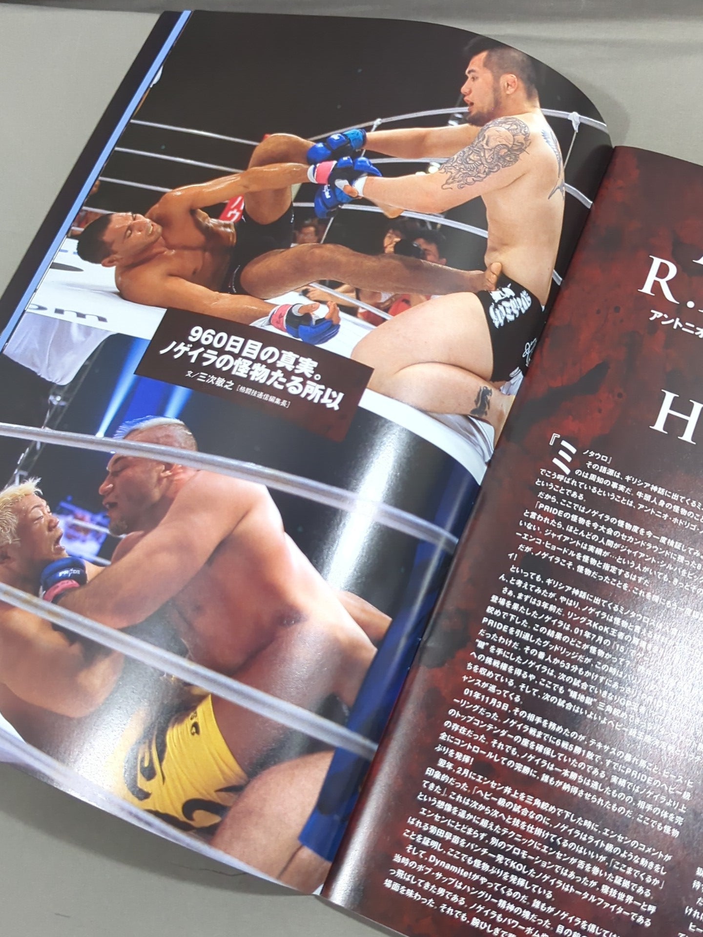 PRIDE GP 2004 SECOND ROUND – 闘道館