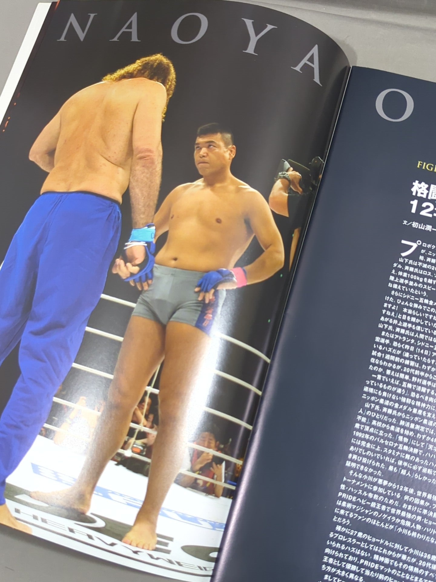 PRIDE GP 2004 FINAL ROUND – 闘道館