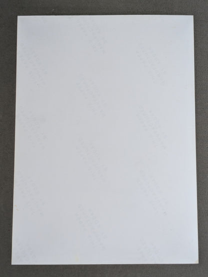 エディ・ゲレロ 白黒写真①