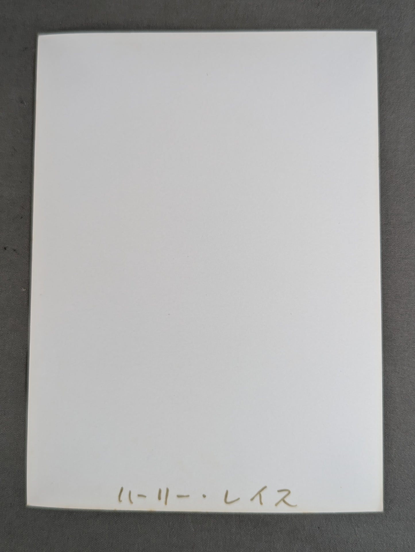 ハーリー・レイス 白黒写真①