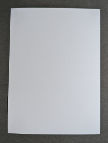 スティーブ・ウィリアムス 白黒写真①