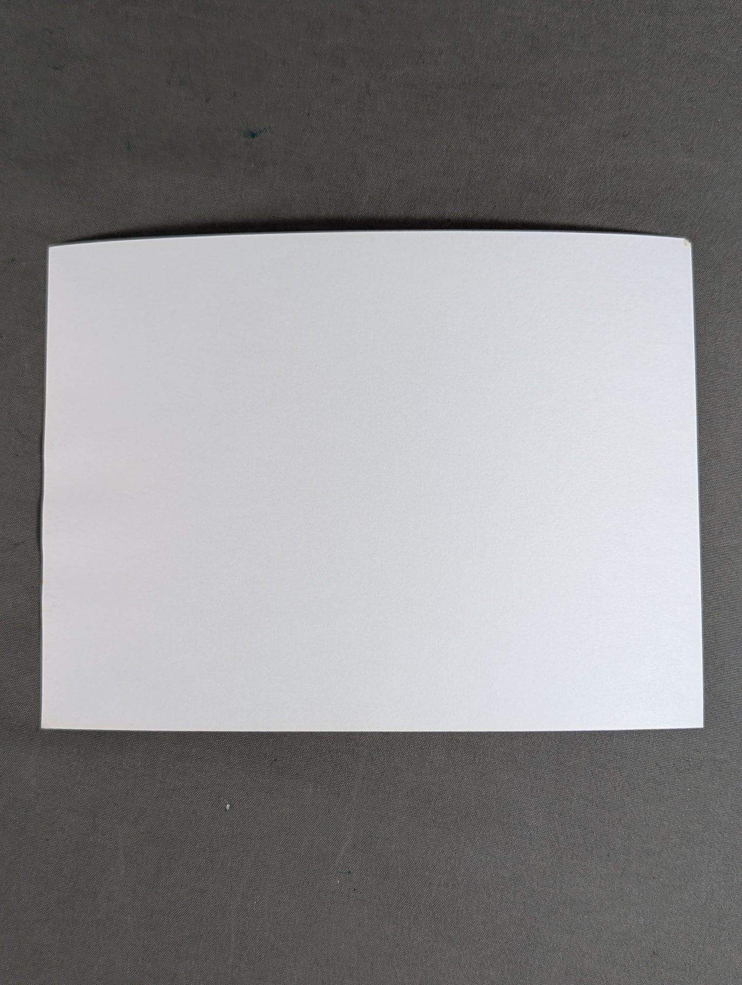 ザ・ファンクス 白黒写真①