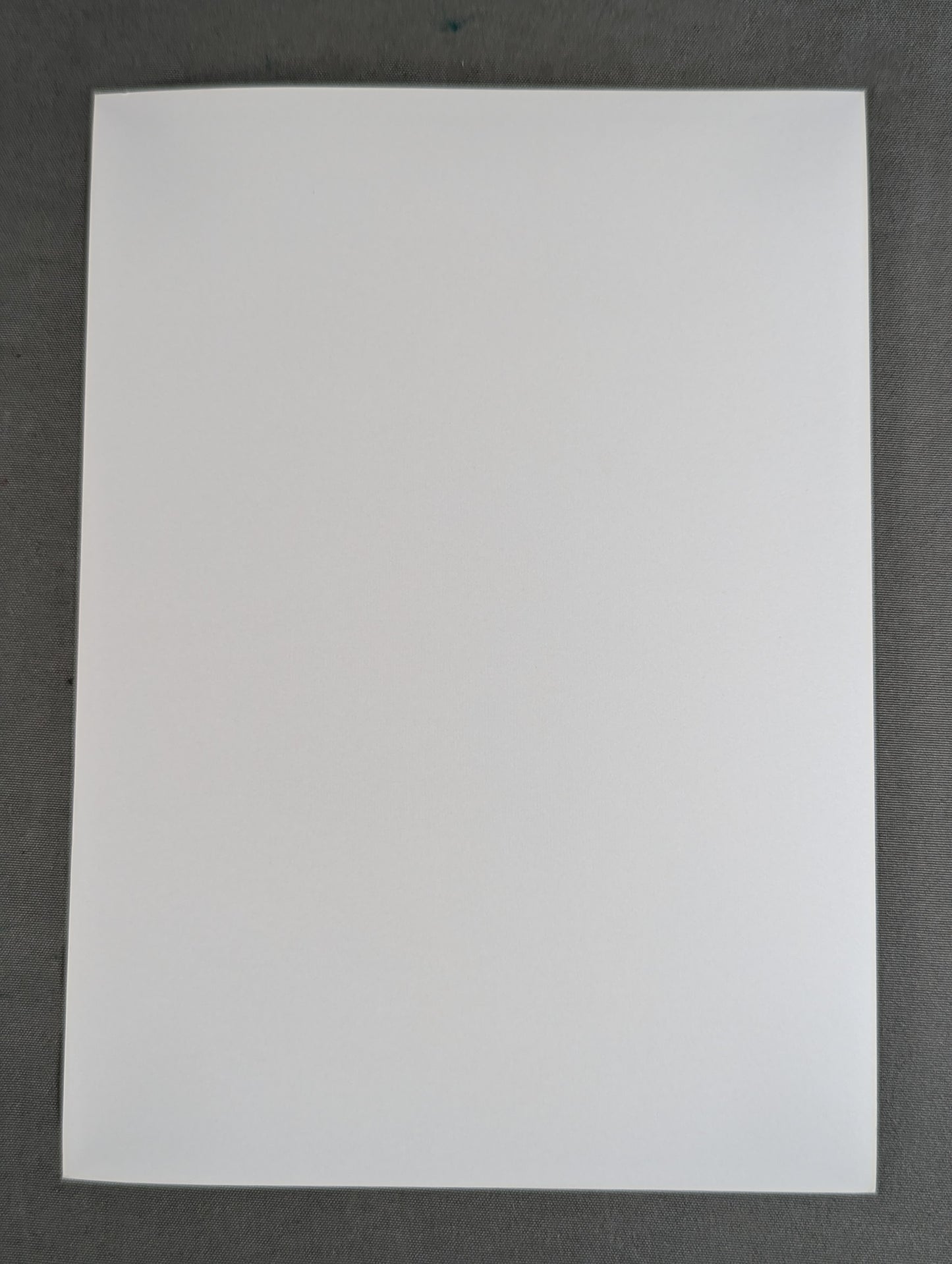 カール・ゴッチ＆ルー・テーズ 白黒写真①