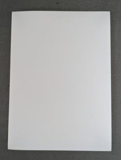 カール・ゴッチ＆ルー・テーズ 白黒写真①