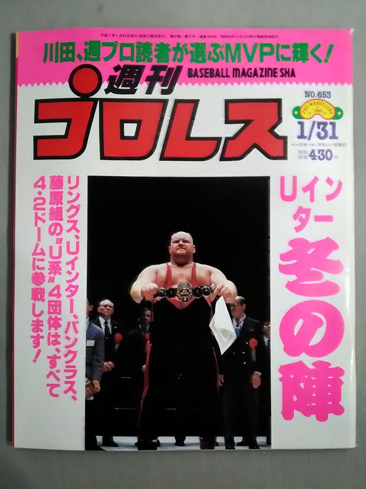 Weekly Pro Wrestling  653