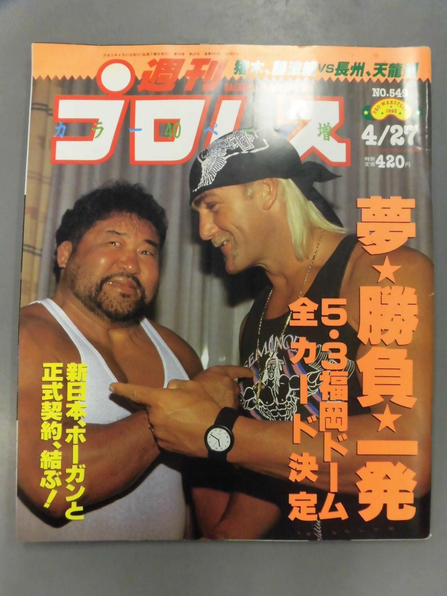 Weekly Pro Wrestling  549