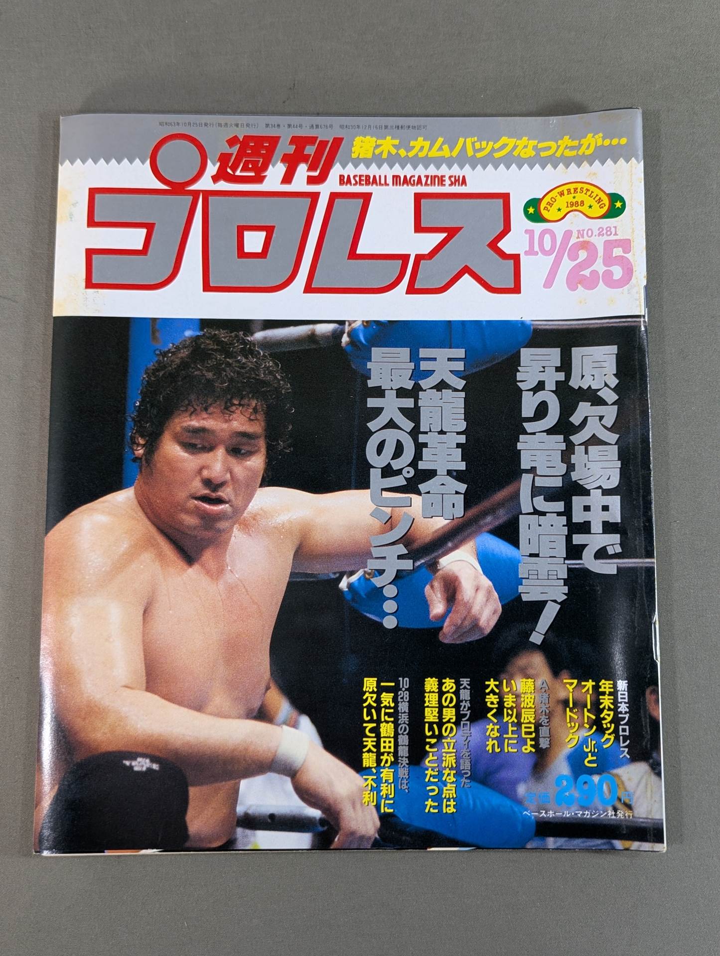 Weekly Pro Wrestling  281