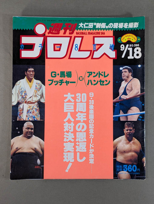 Weekly Pro Wrestling 396