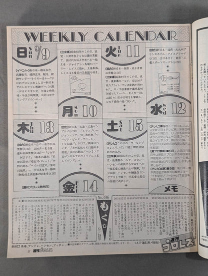 Weekly Pro Wrestling 396
