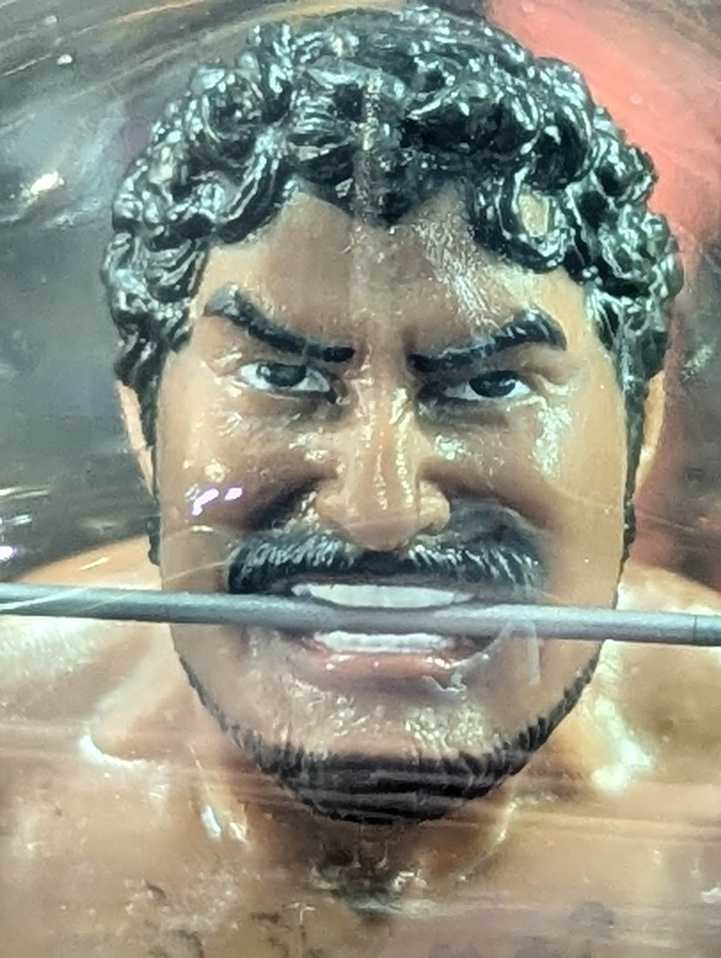 タイガー・ジェット・シン(紫ターバン) – 闘道館