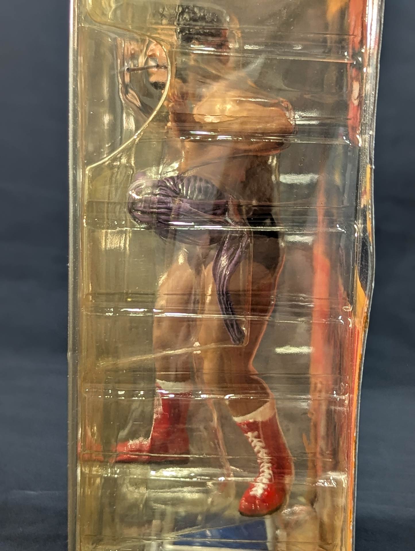 タイガー・ジェット・シン(紫ターバン) – 闘道館