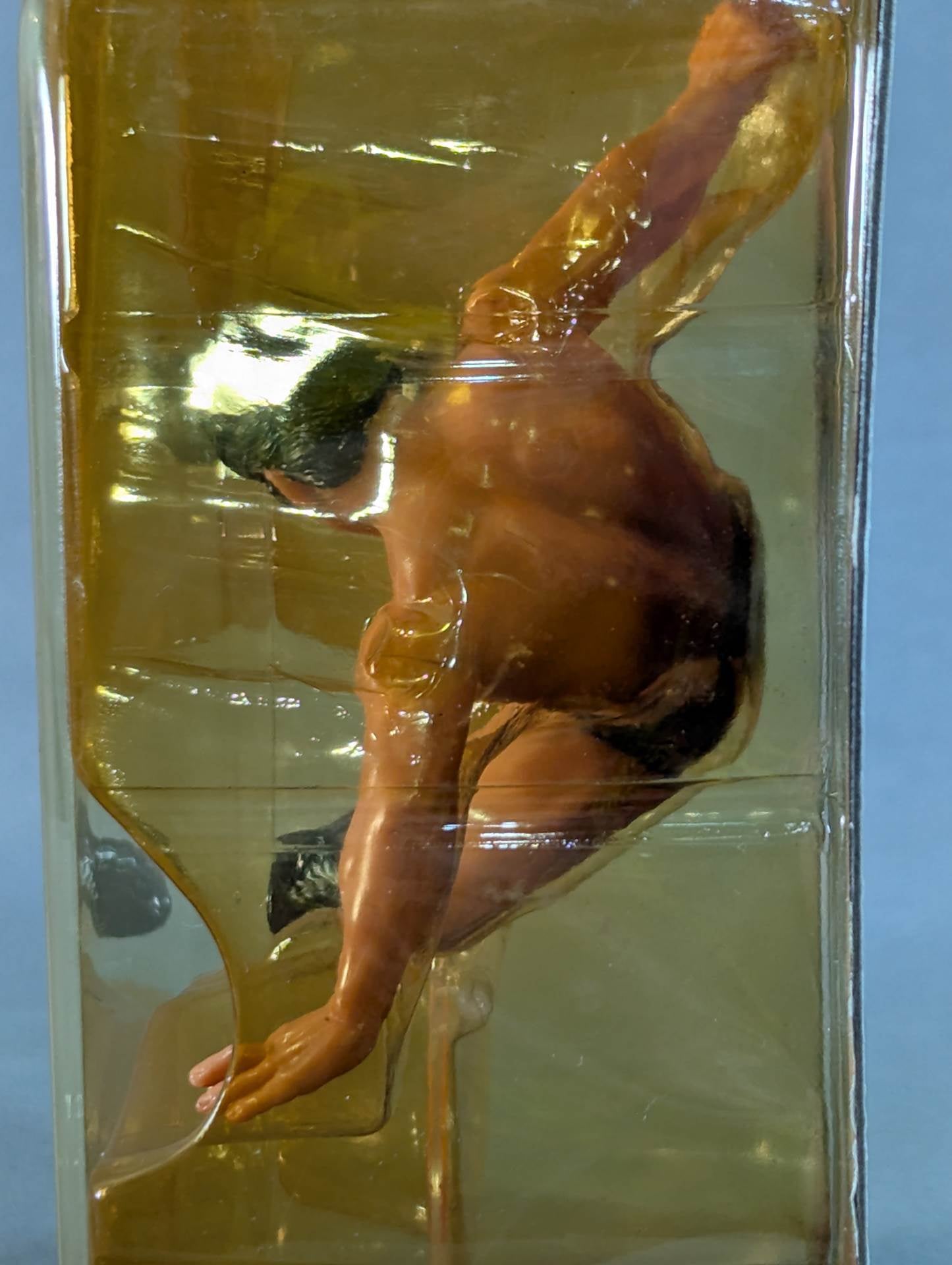 Antonio Inoki  (medulla oblongata slash)