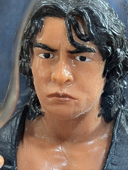 Yoshinari Ogawa &Naomichi Marufuji (Marufuji only bronze)