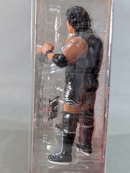 Yoshinari Ogawa &Naomichi Marufuji (Marufuji only bronze)