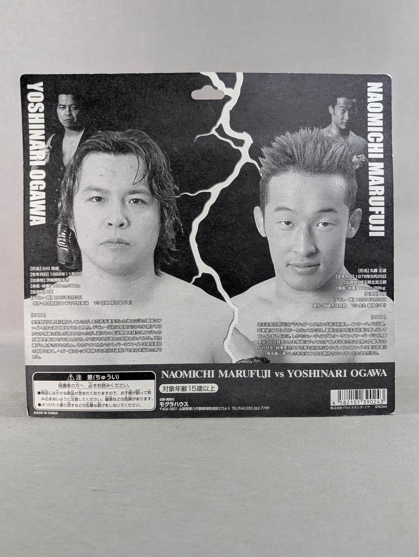 Yoshinari Ogawa &Naomichi Marufuji (Marufuji only bronze)