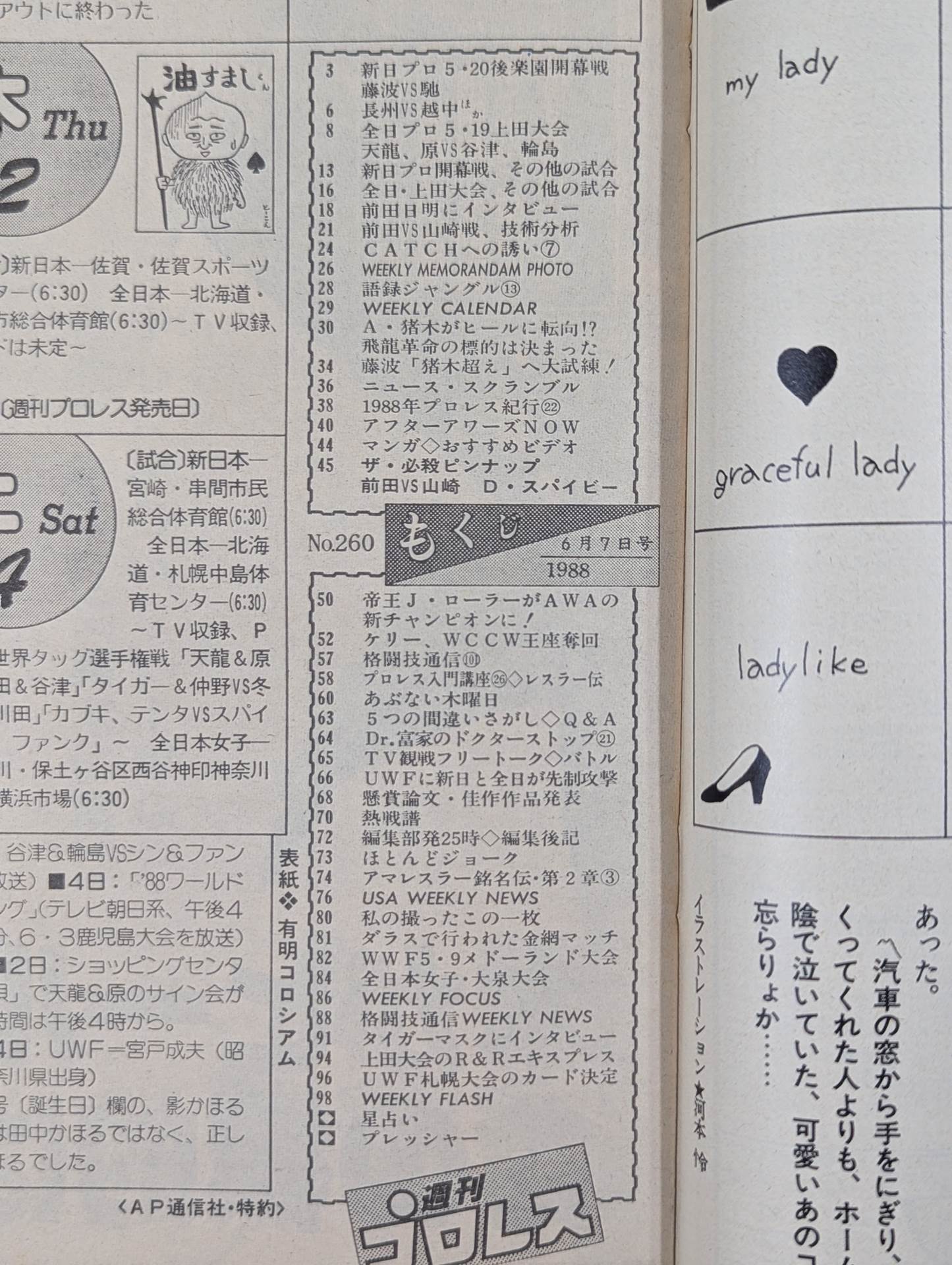 Weekly Pro Wrestling 260