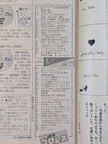 Weekly Pro Wrestling 260