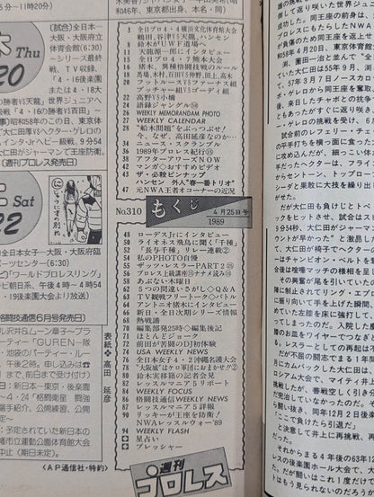 Weekly Pro Wrestling 310