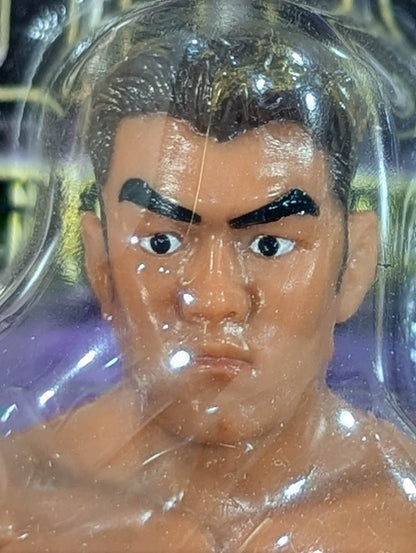 Jun Akiyama (GHC belt, fighting pose, GHC mount)