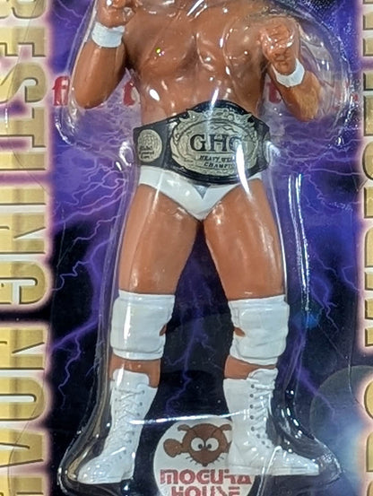 Jun Akiyama (GHC belt, fighting pose, GHC mount)