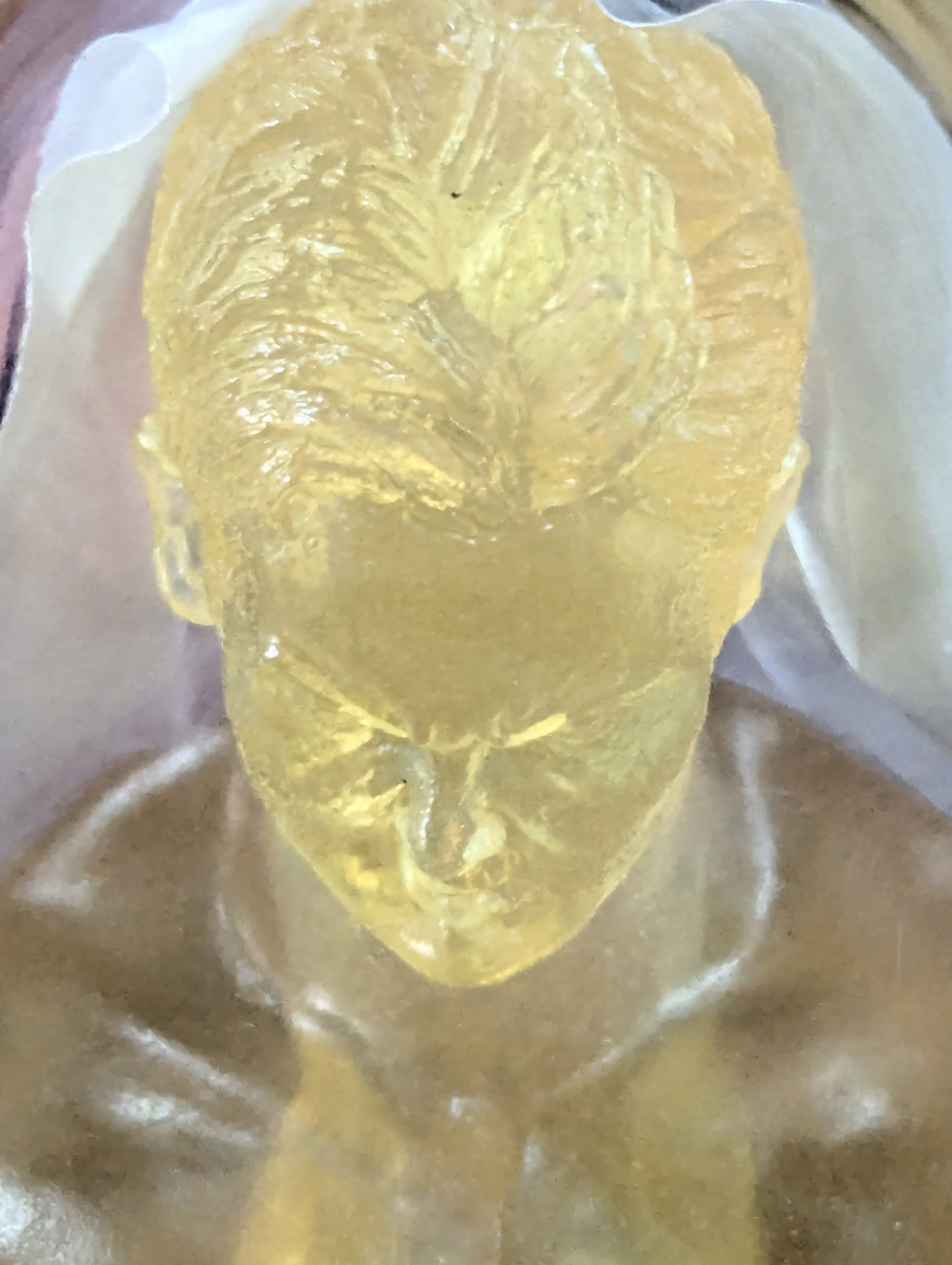 ☆230体限定☆ オカダ・カズチカ(黄金) – 闘道館