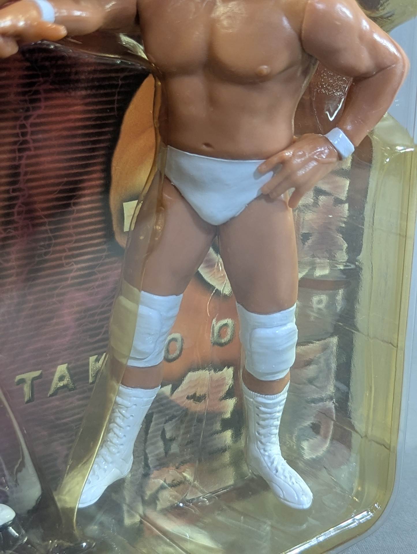 Takao Omori &Yoshihiro Takayama (White, decisive pose)