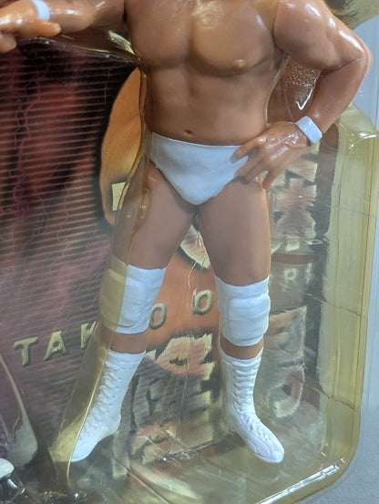 Takao Omori &Yoshihiro Takayama (White, decisive pose)