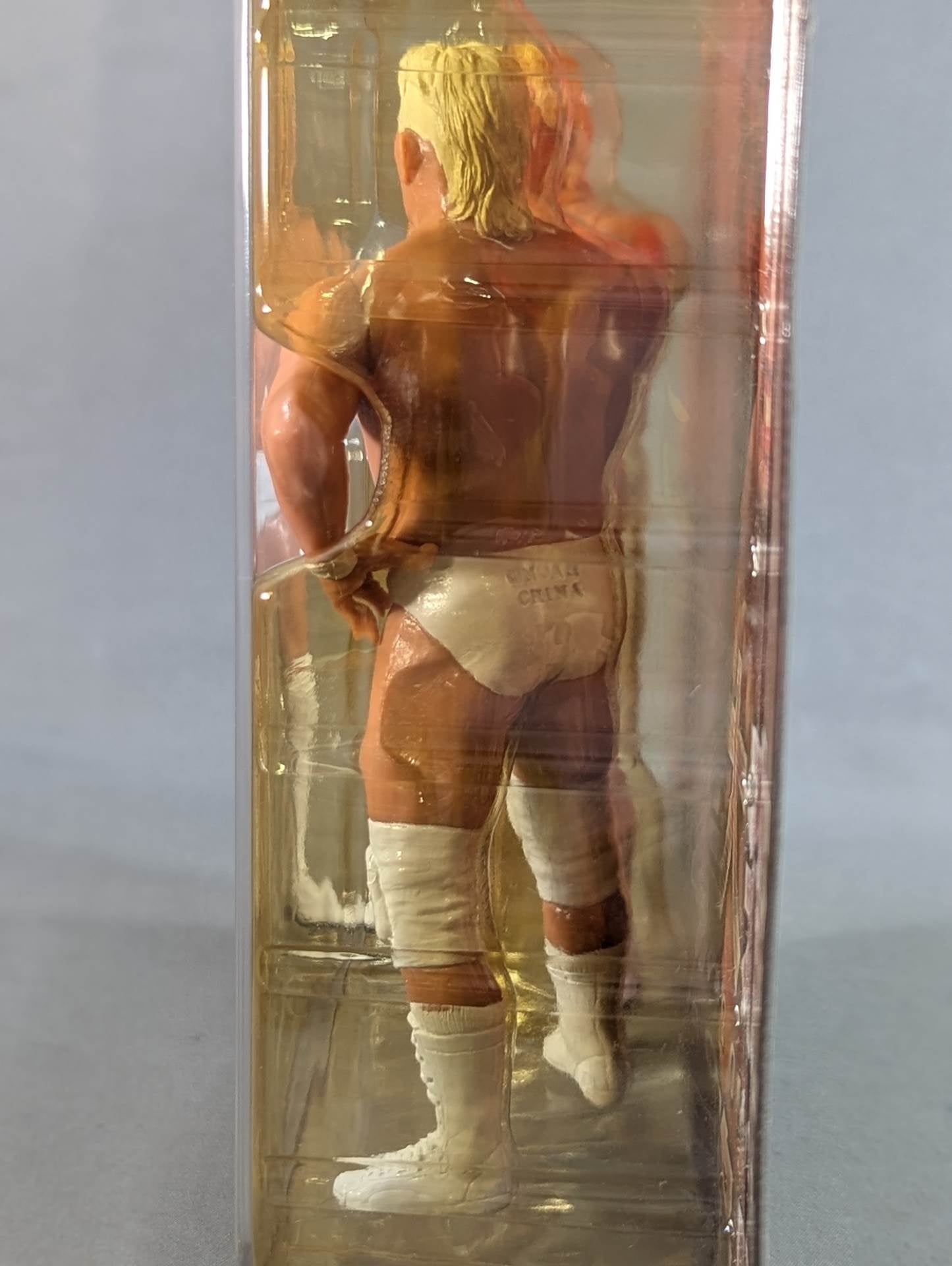 大森隆男＆高山善廣 (白・決めポーズ) – 闘道館