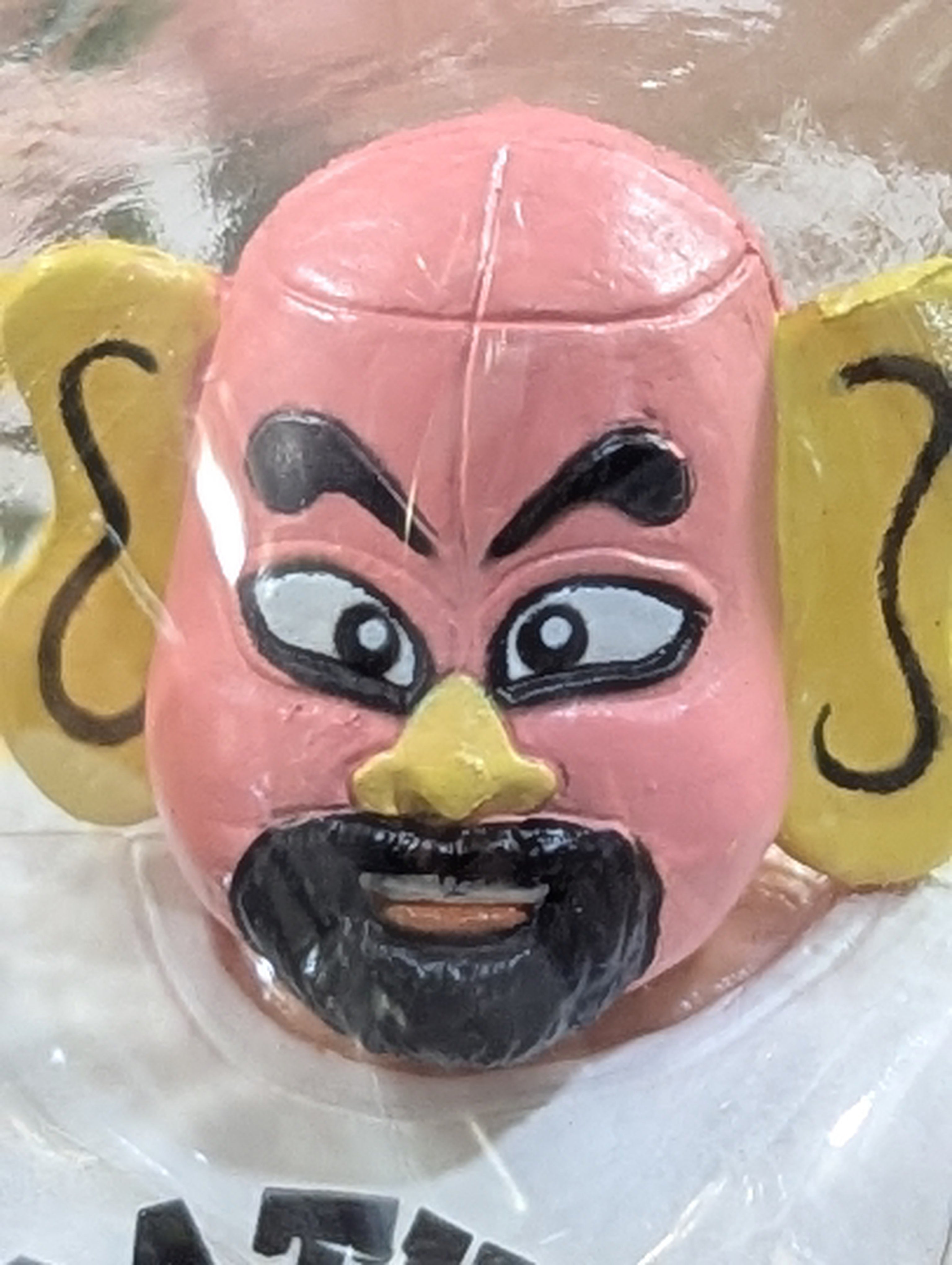 ☆A BATHING APE☆ 武藤敬司vsえべ藤さん – 闘道館